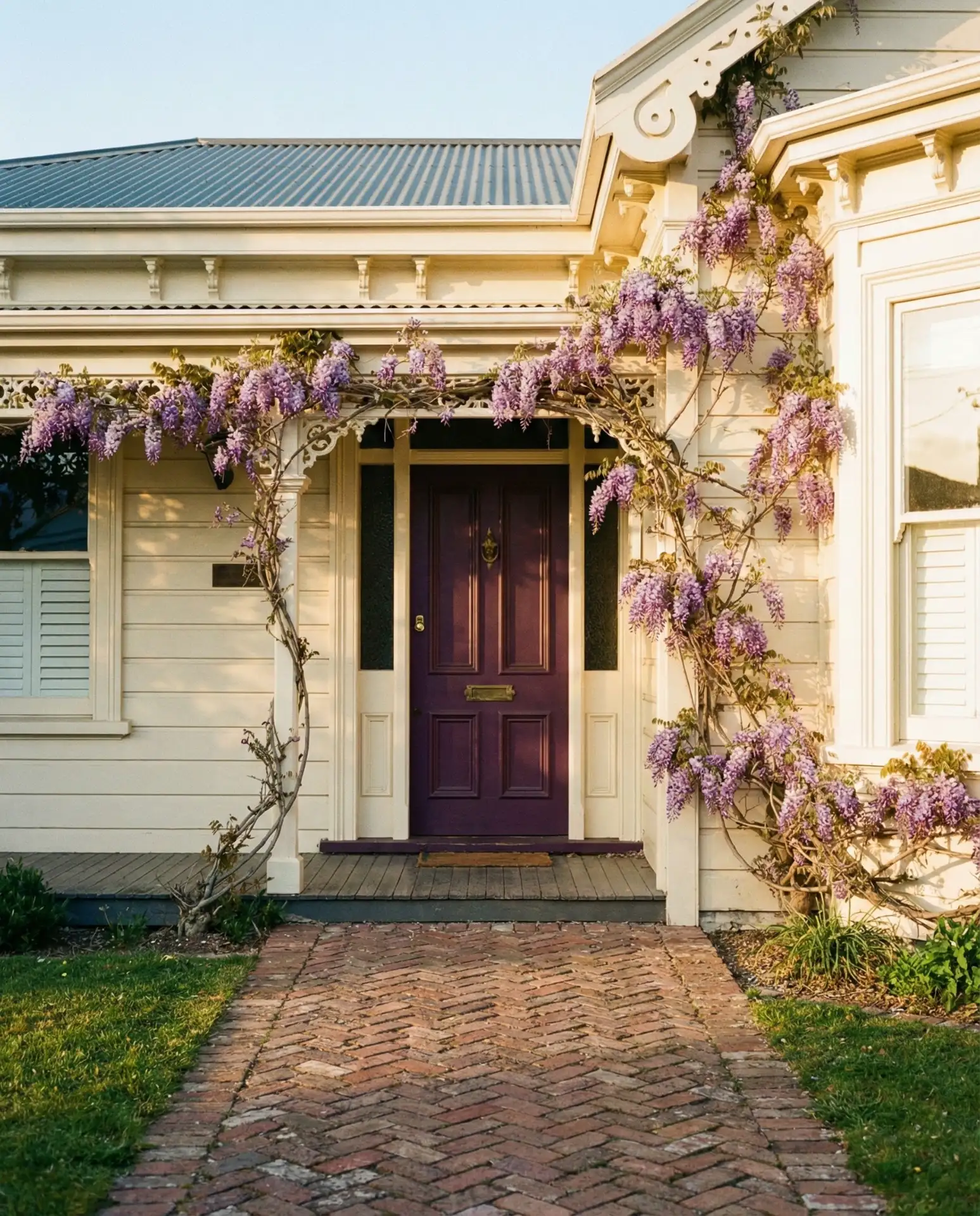 Aubergine for Rich Drama 1