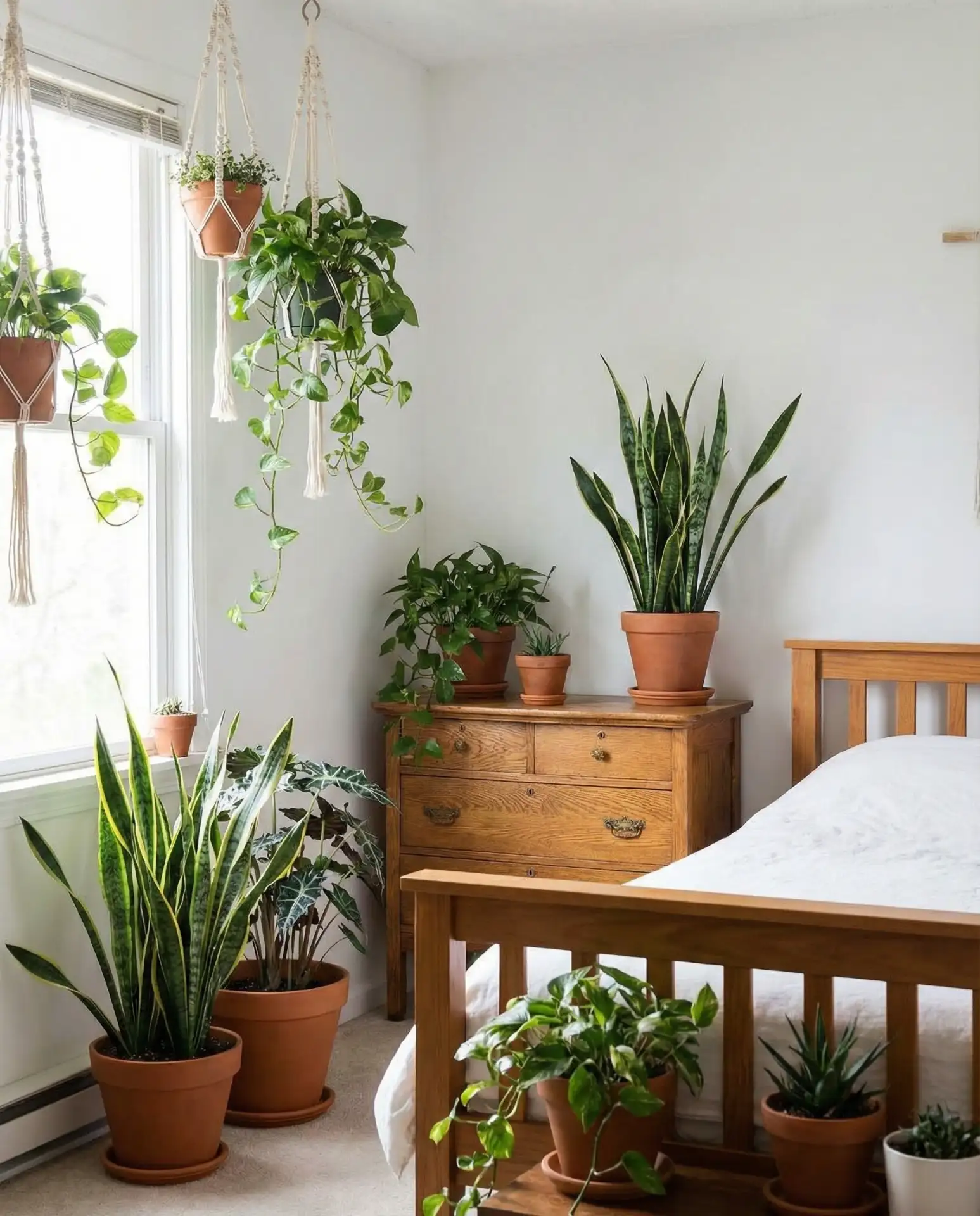 Biophilic Plant Integration 1