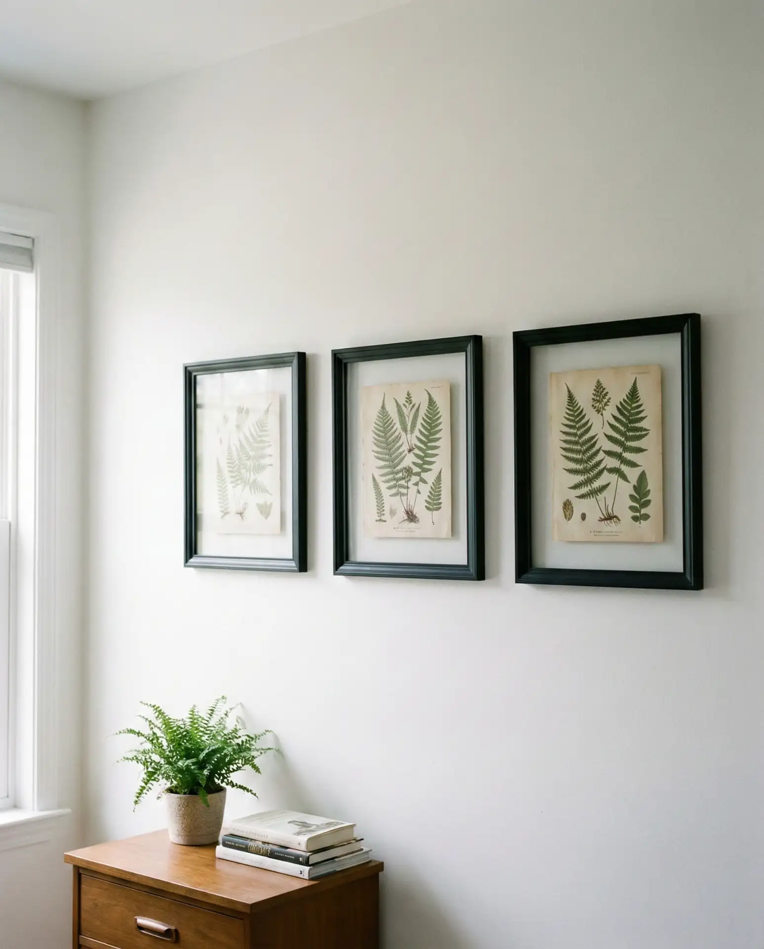 Botanical Prints in Matching Frames 2