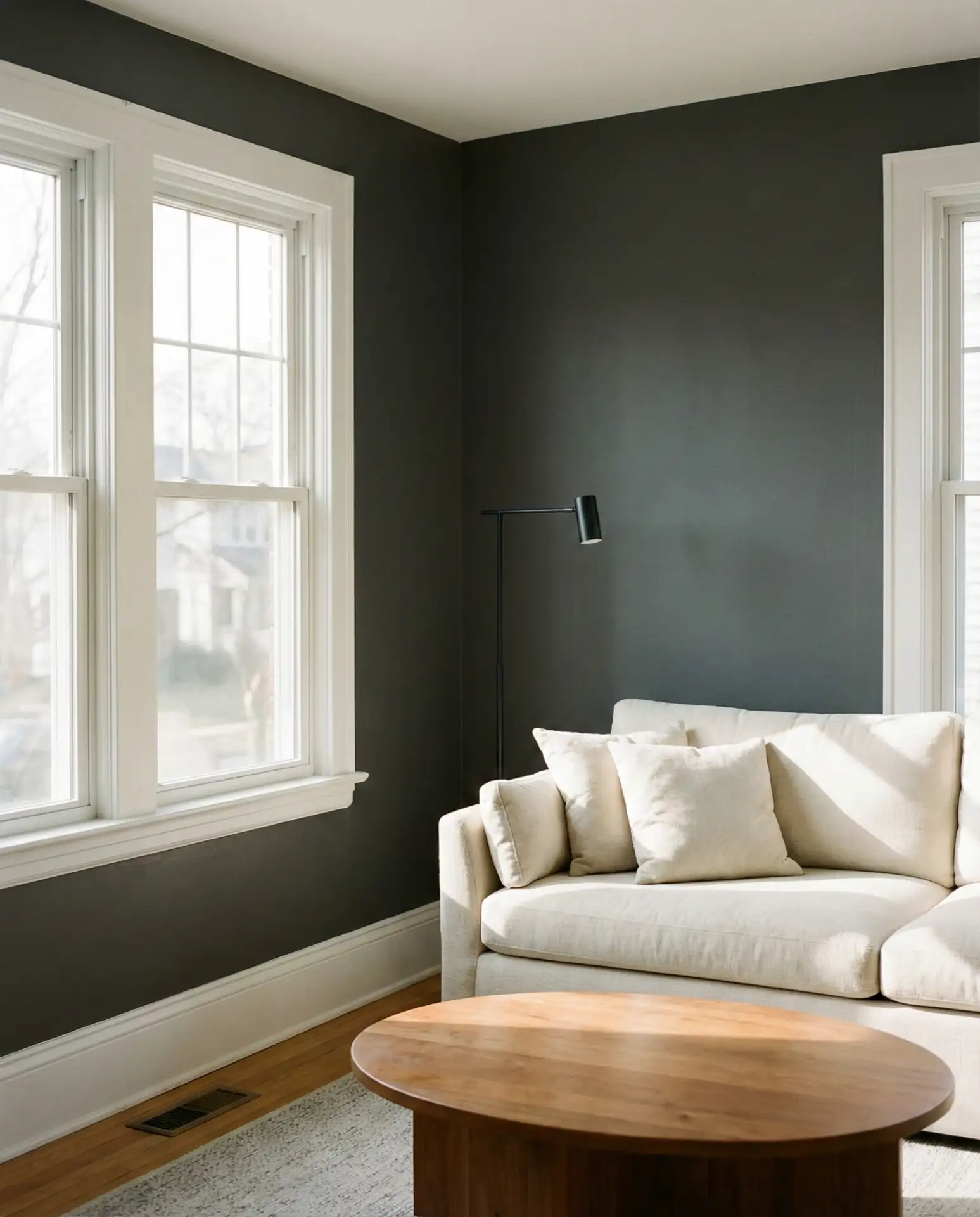 Charcoal Grey with White Trim 2