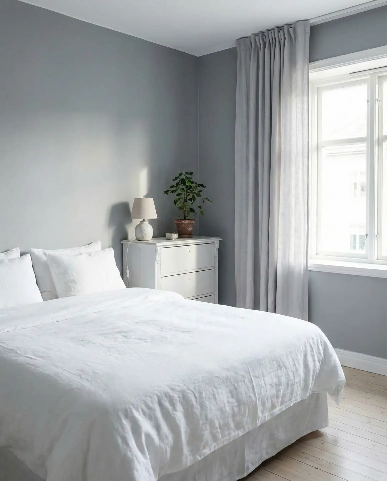 Cool Grey with White Crispness 2