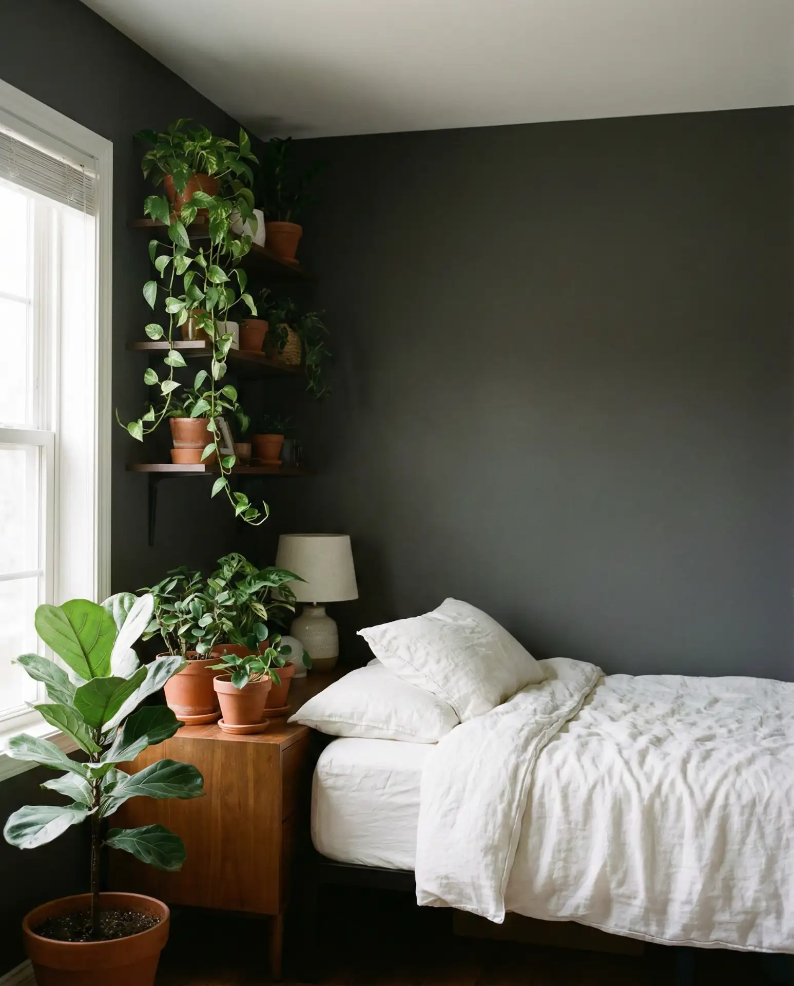 Dark Grey with Greenery 2