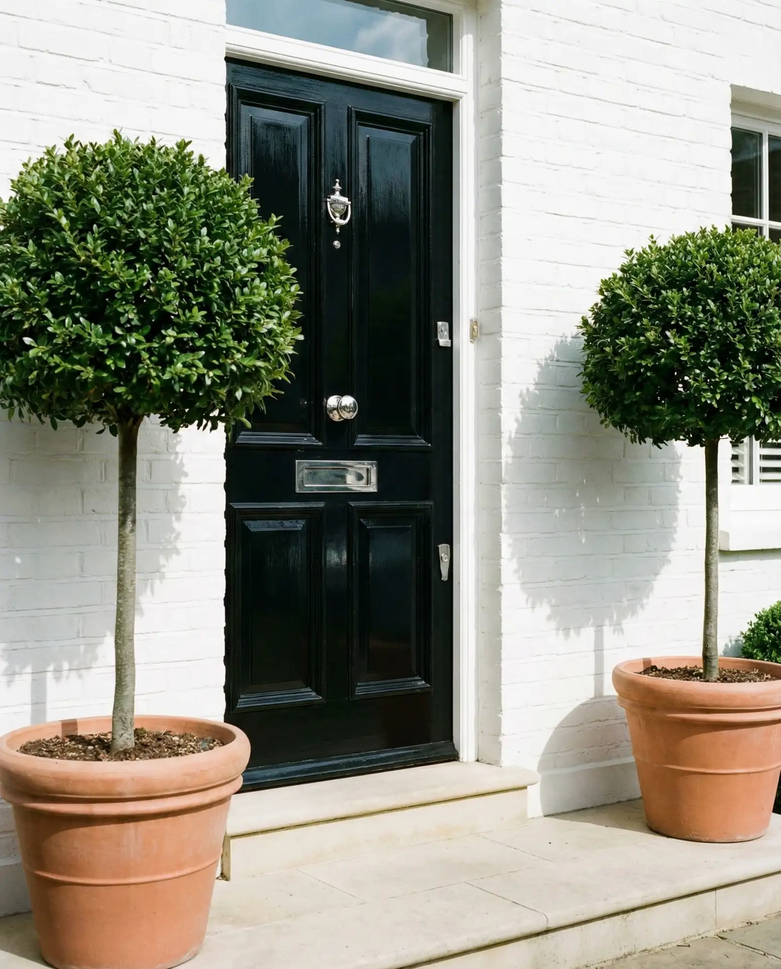 Glossy Black for Dramatic Impact 1