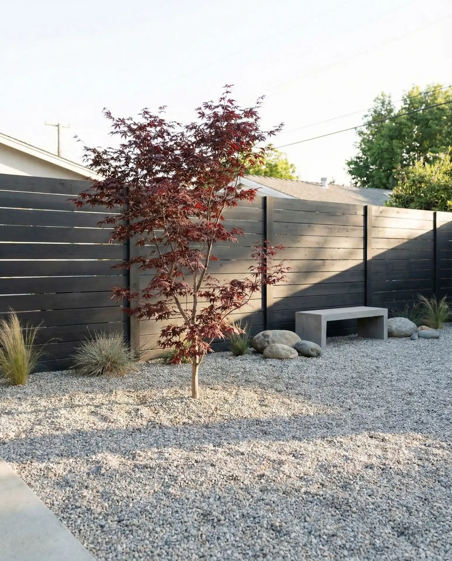 Gravel Yard with Specimen Trees 2