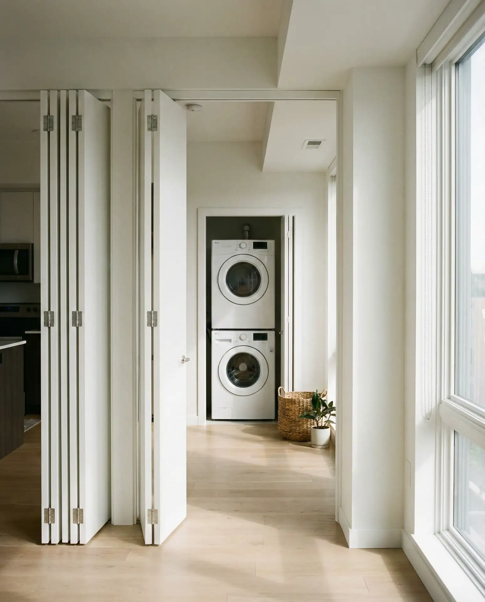 Hidden Laundry Behind Folding Doors 2