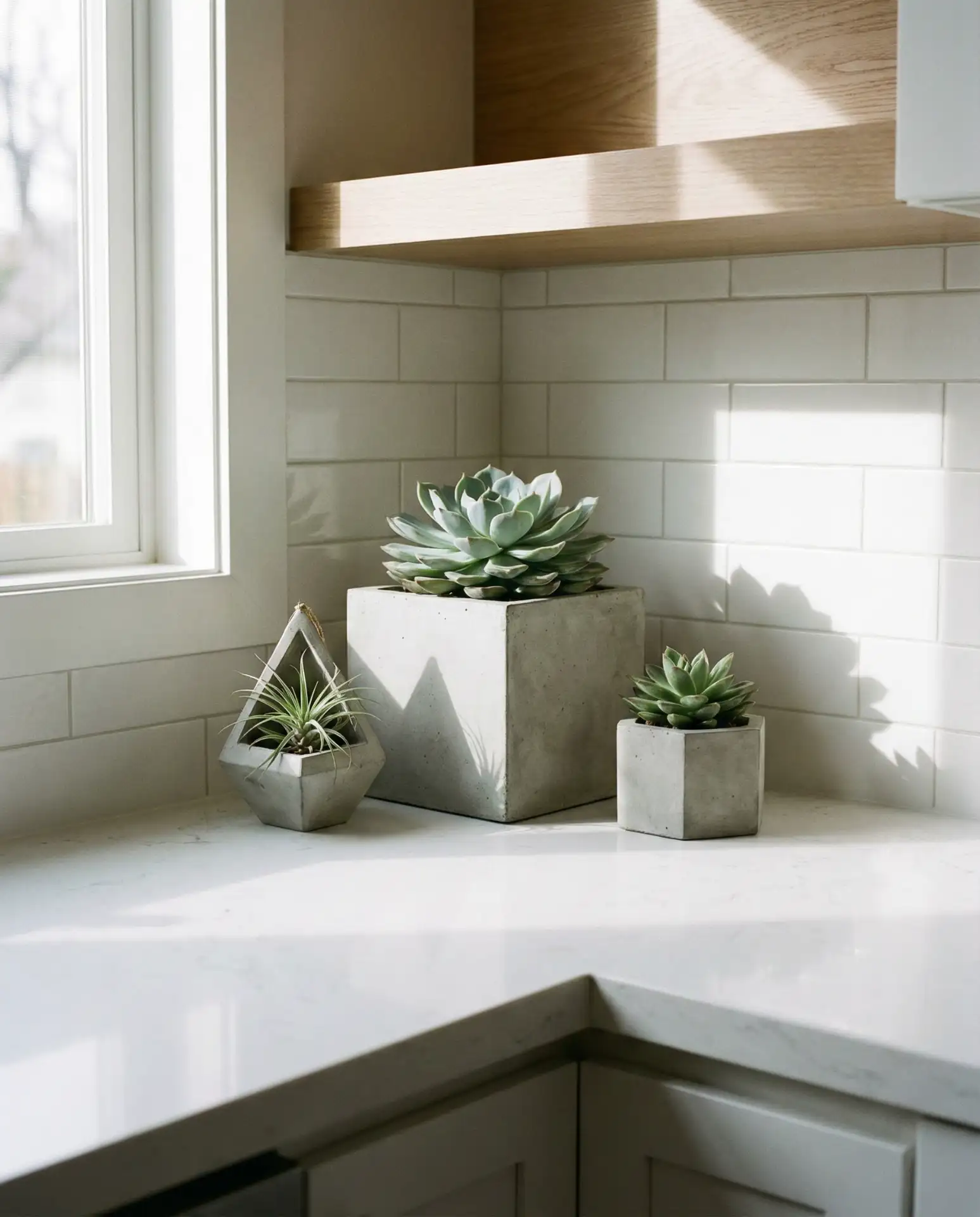 Modern Corner with Geometric Planters 1