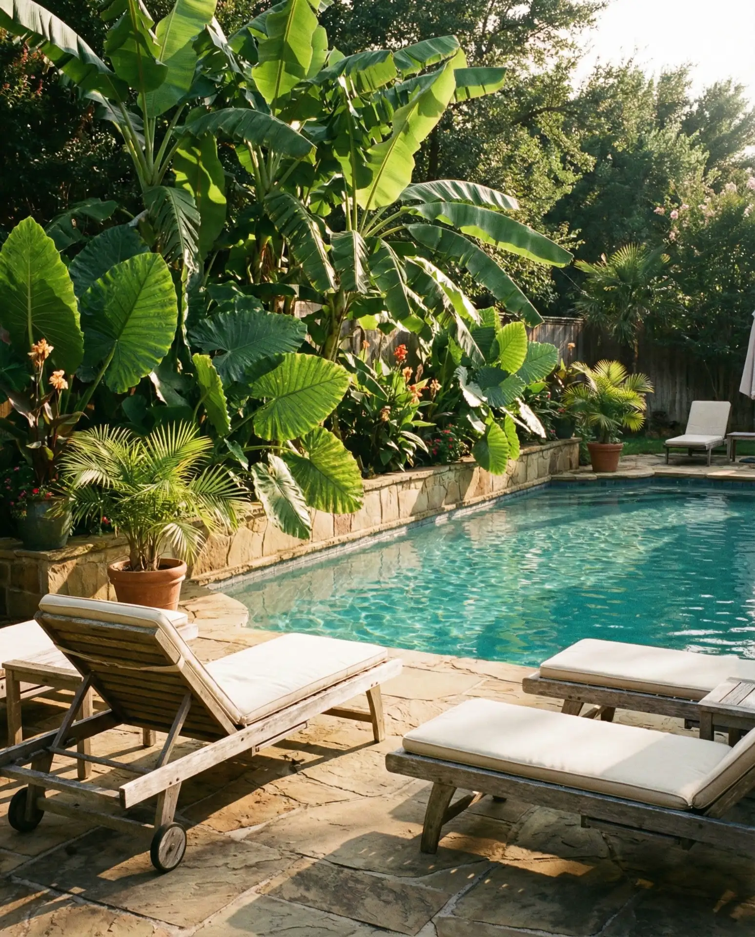 Pool Deck with Tropical Plantings 1