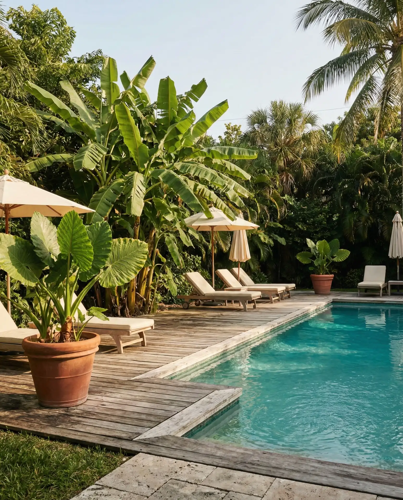 Pool Deck with Tropical Plantings 2