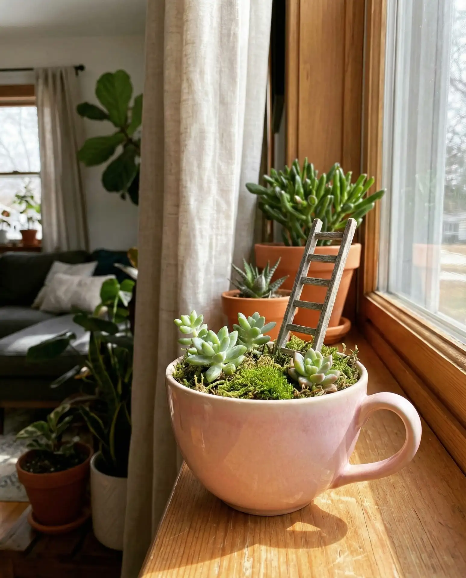 Teacup Fairy Garden 2