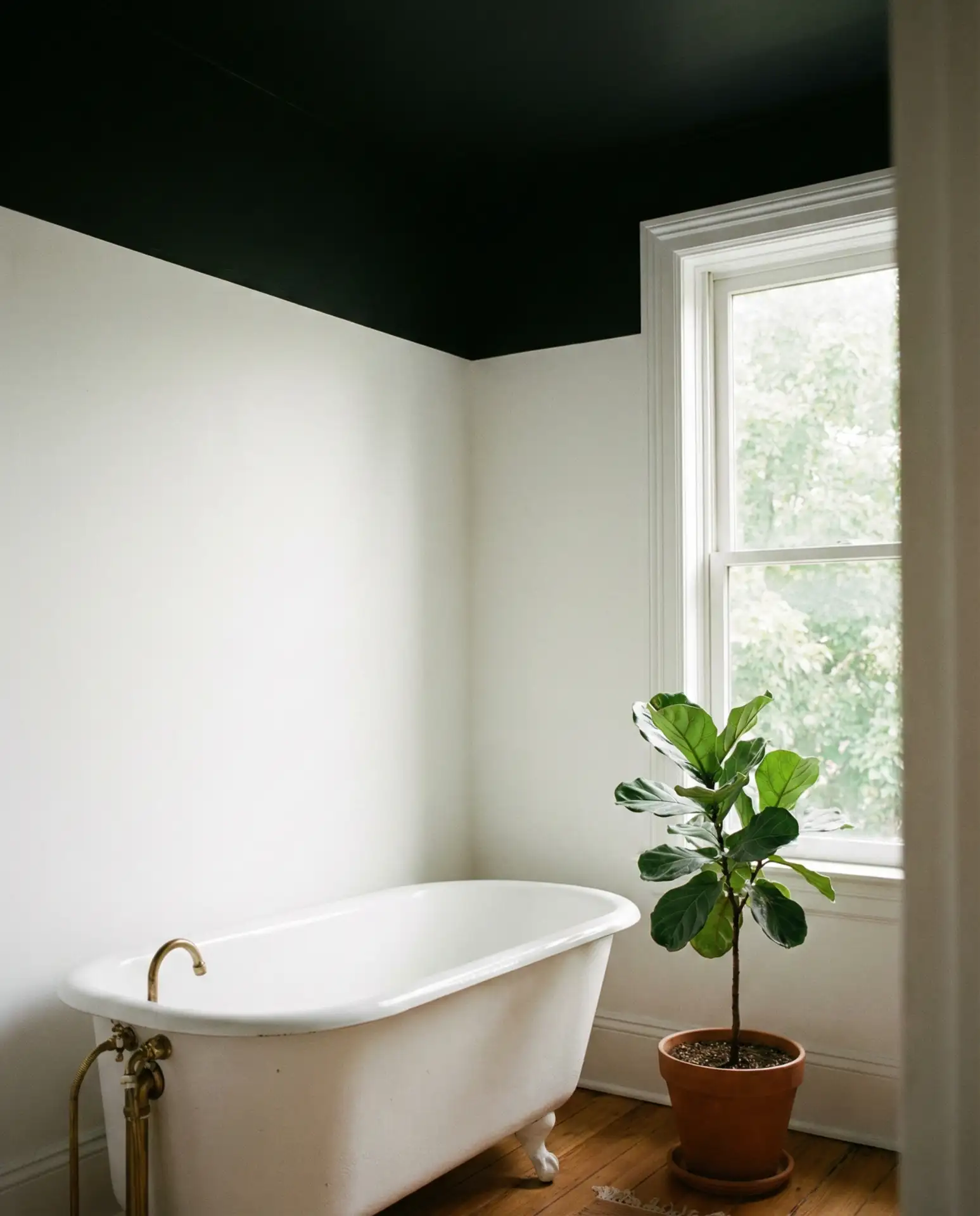 Black Ceiling with White Walls 1