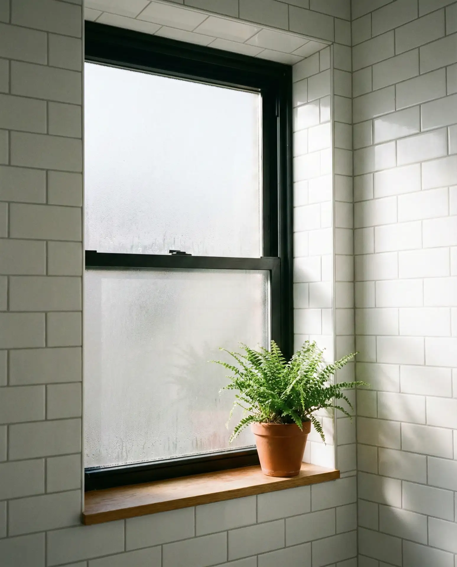 Black Window Frames for Modern Edge 1