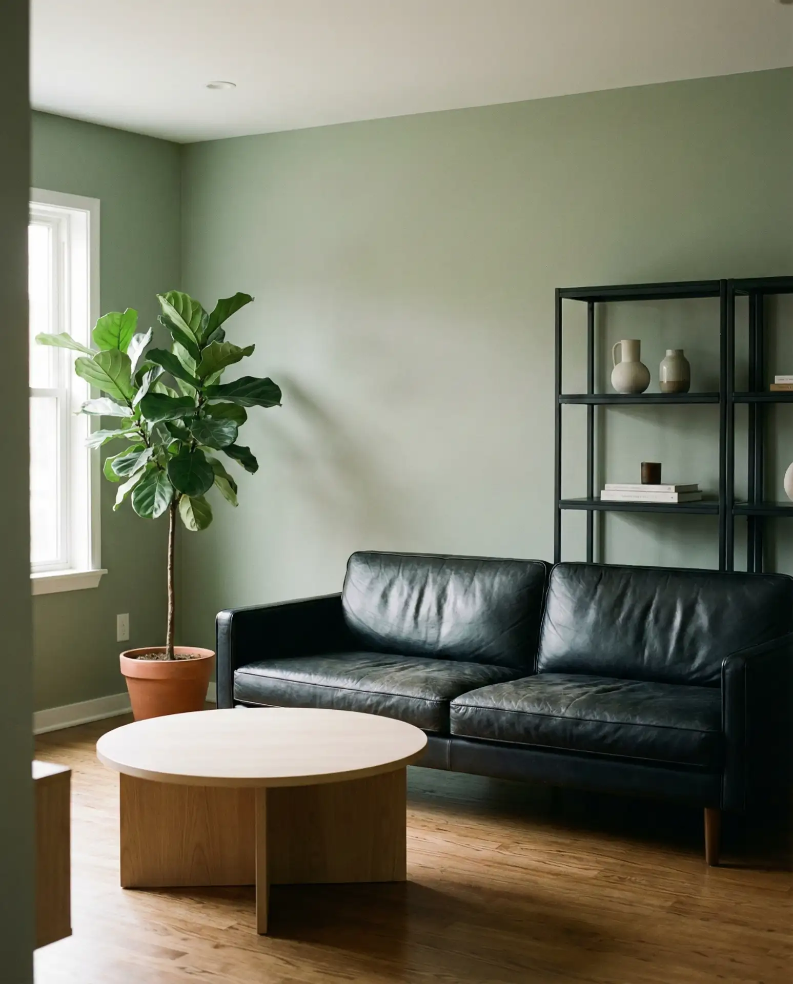 Black and Sage Contrast 2