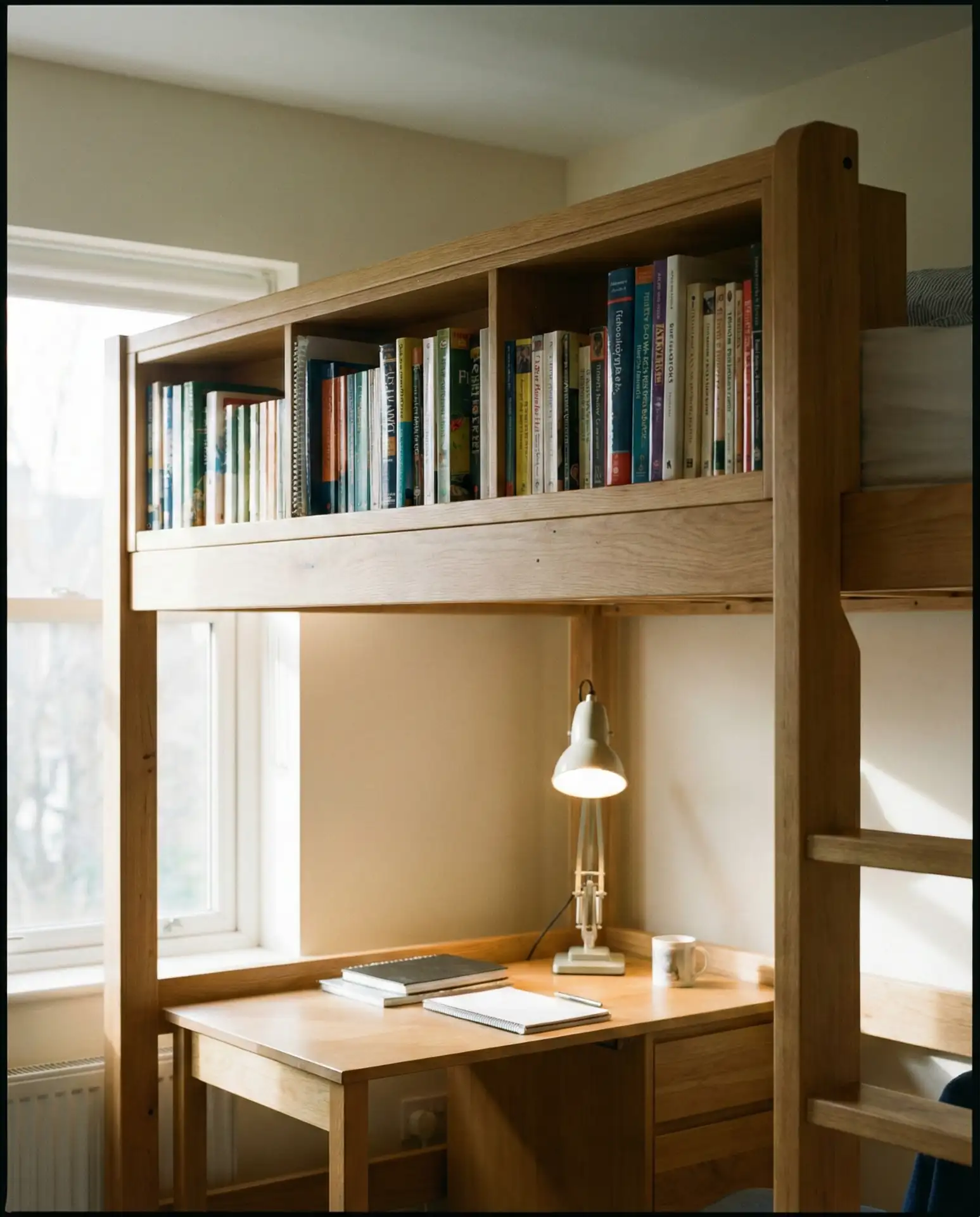 Loft Bed with Built-In Bookshelf for Students 2