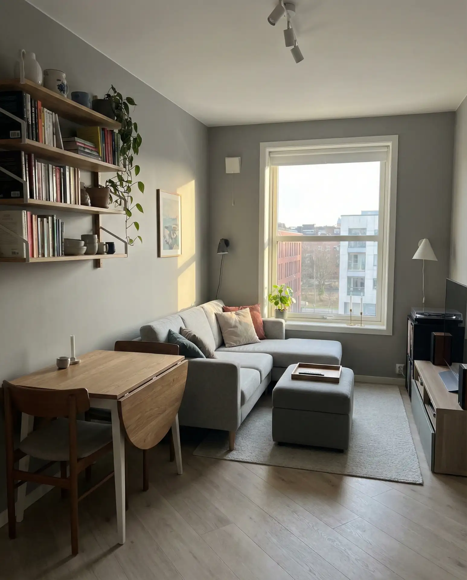 Small Apartment Grey Multifunctional Layout 1