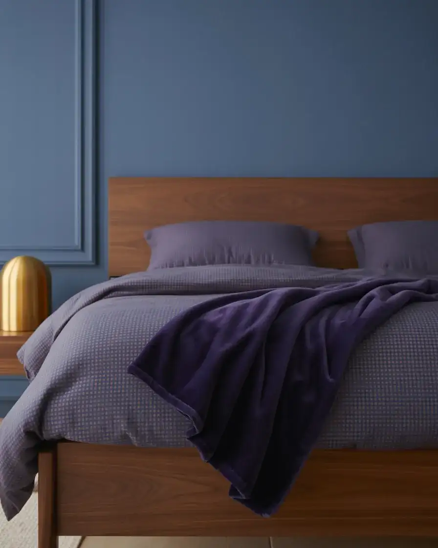 Purple and Navy Regal and Grounded 1