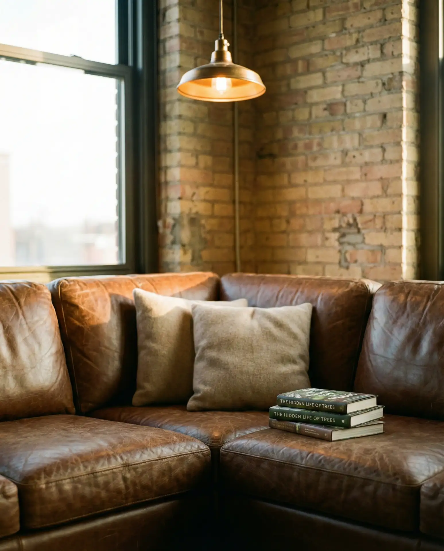 Rich Leather and Brown Tones in an Open Living Space 2