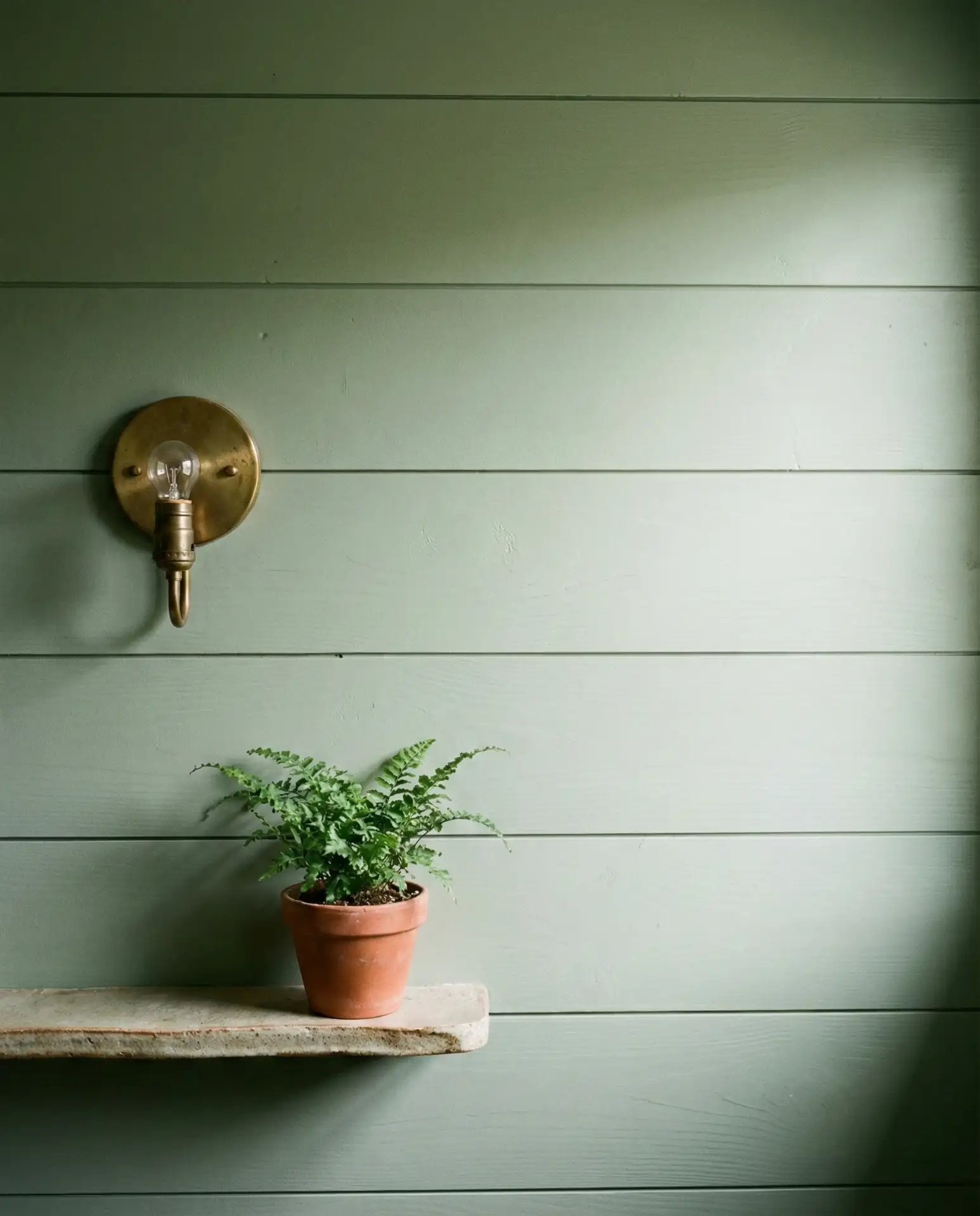 Sage Green Kitchen with Shiplap Accent Wall 1