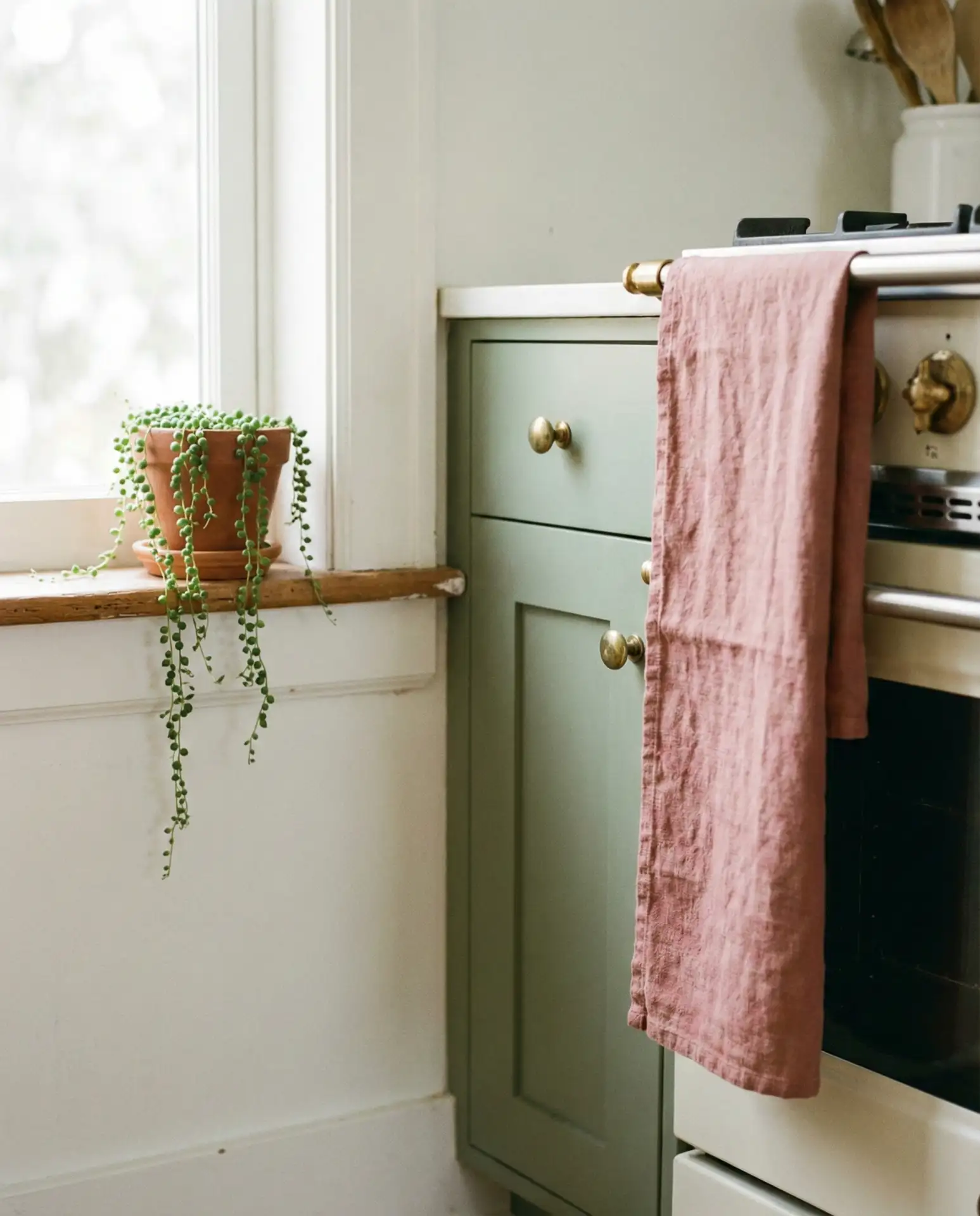 Sage and Pink Kitchen with Brass Accents 1