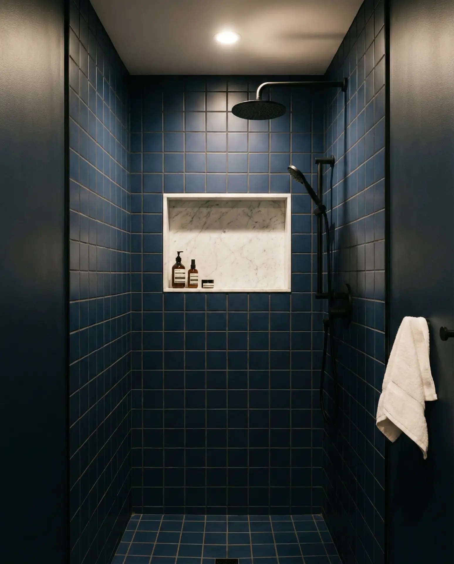 Small Bathroom Walk-In Shower in Blue and Dark Tones 1