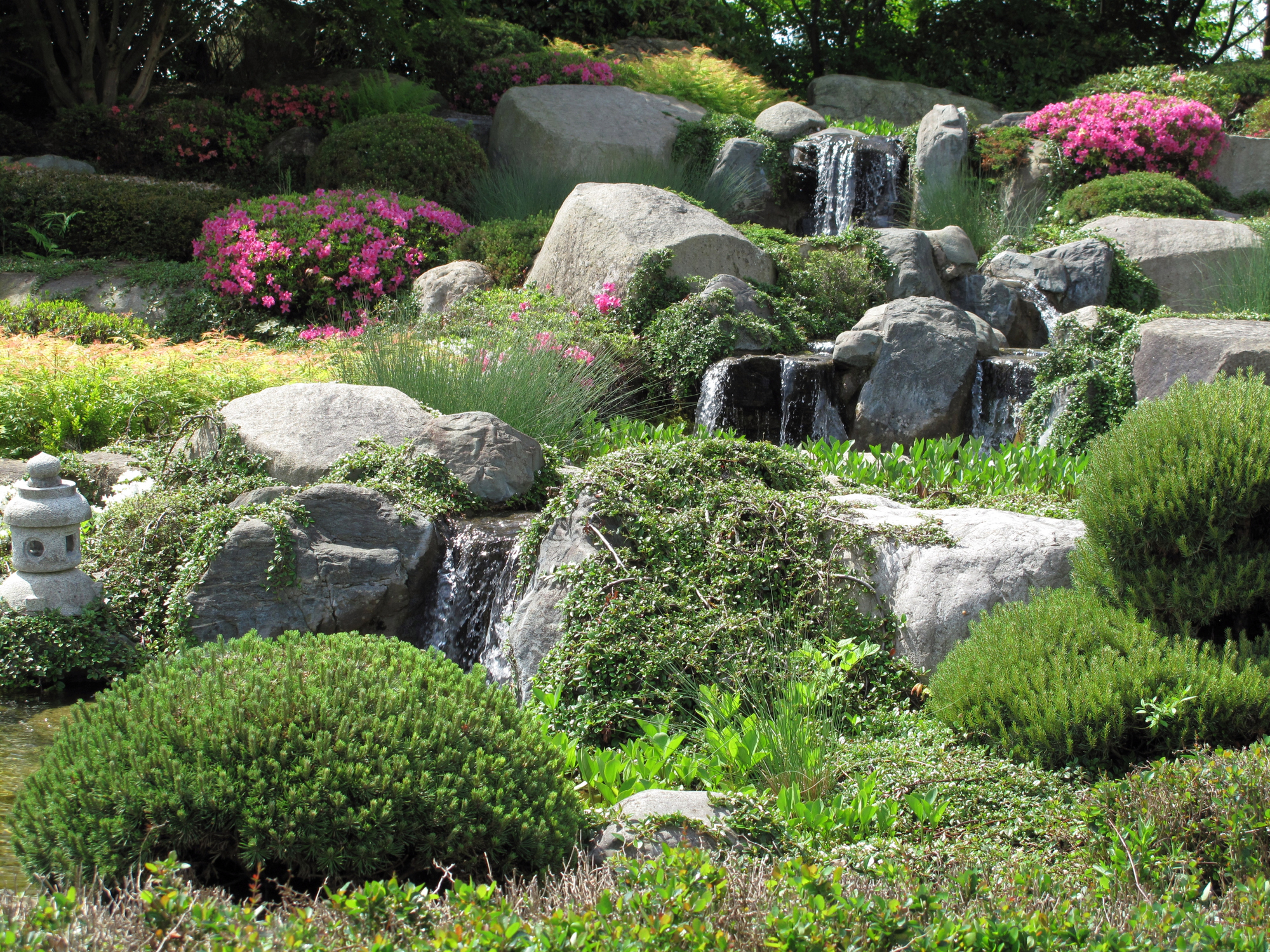 15 Rock Garden Ideas for Low-Maintenance Landscaping