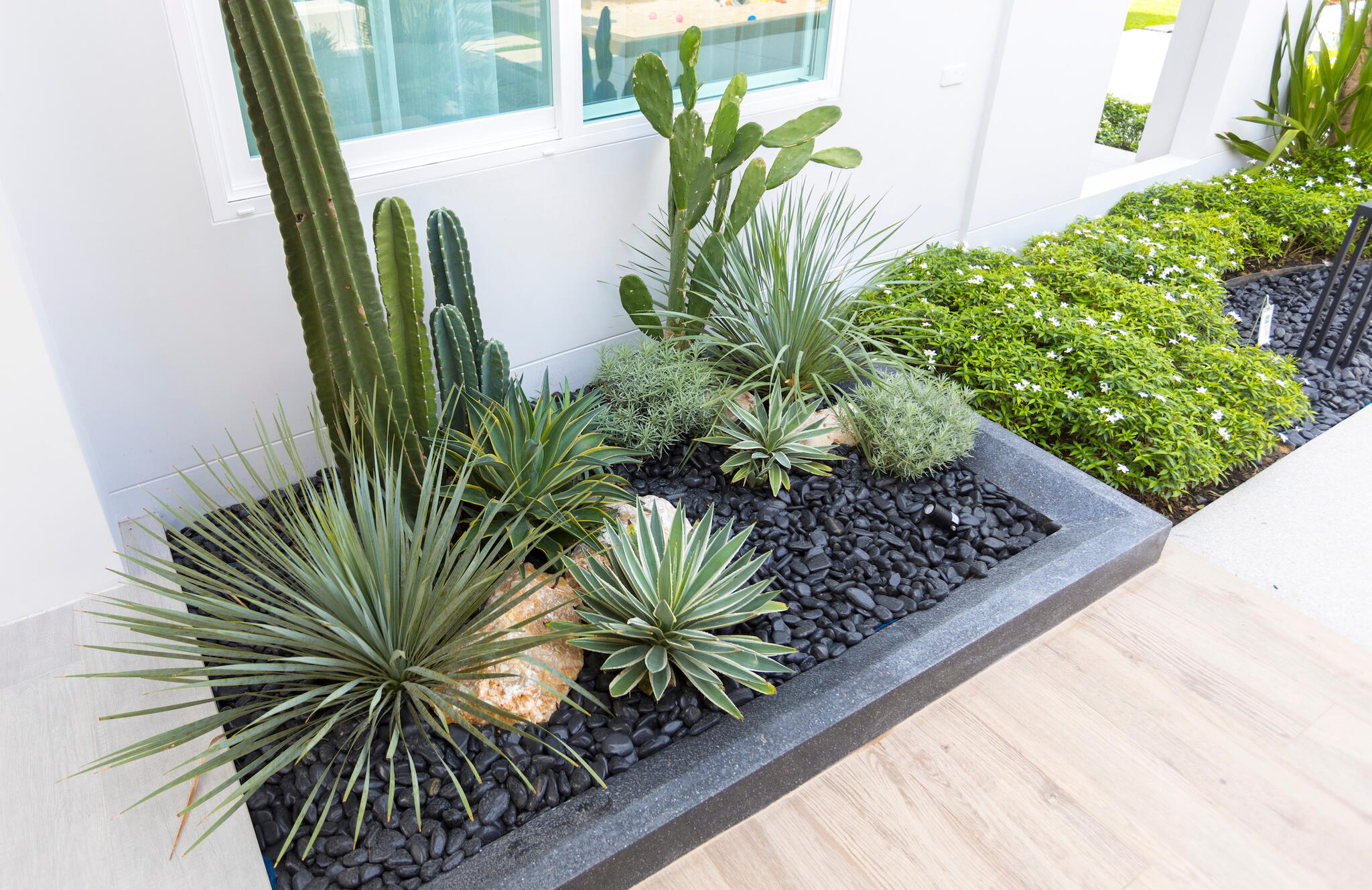 21 Inspiring Rock Garden Ideas: Low-Maintenance, Modern, and More | Almanac.com