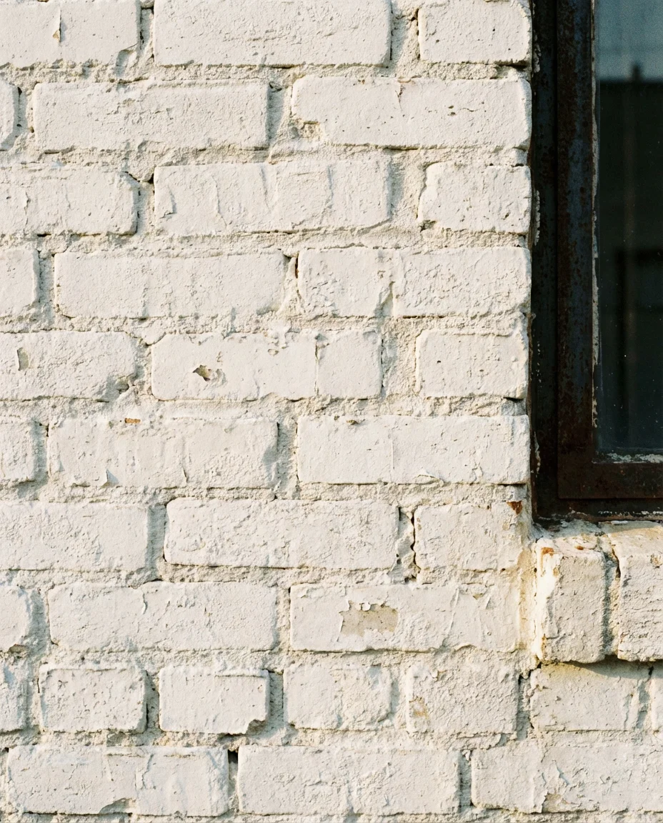 Modern Ranch Exterior with Flat Roof and Stucco Panels 2