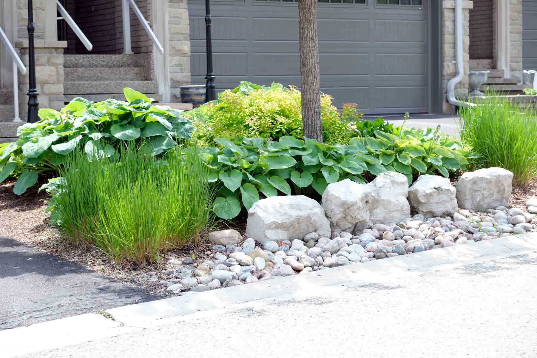 Cheap Front Yard Landscaping Ideas: 13 Low-Cost Ways to Boost Curb Appeal (2026)