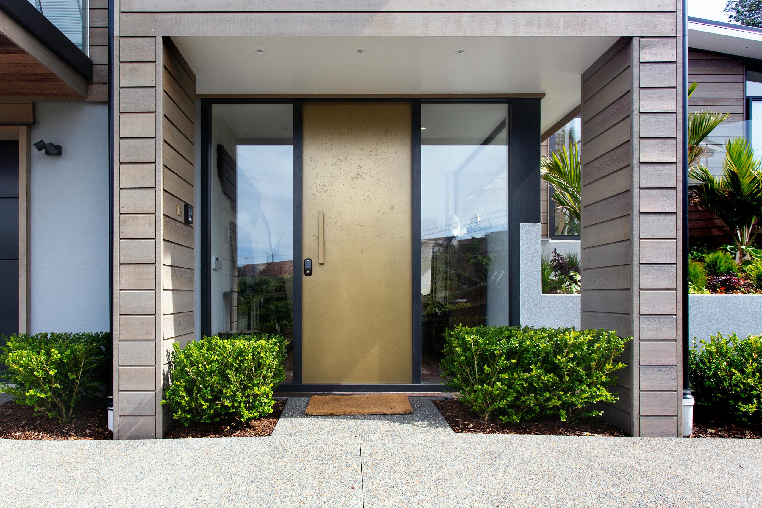 Clean entrance design featuring a modern door and lush green plants.
