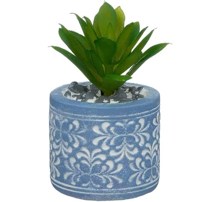 Terracotta Planter With Succulent Sma...