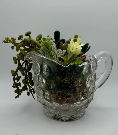 Glass Pitcher Arrangement