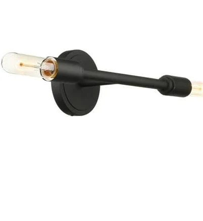 Pathson Vintage Industrial 2 Light Va...