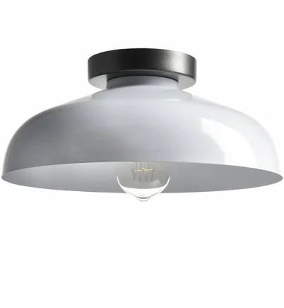 Claxy 12 inch Flush Mount Ceiling Lig...
