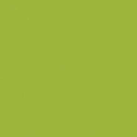 Solid in Light Olive (amb_23) | Ameri...