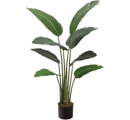 Pottery Barn Faux Bird of Paradise Plant
