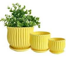 Ceramic Flower Pots with Saucers