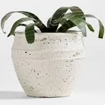 Crate & Barrel Malta Indoor/Outdoor P...