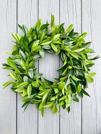 Year Round Greenery Wreath, Classic L...