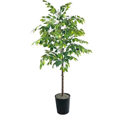 Mainstays Artificial Ficus Tree