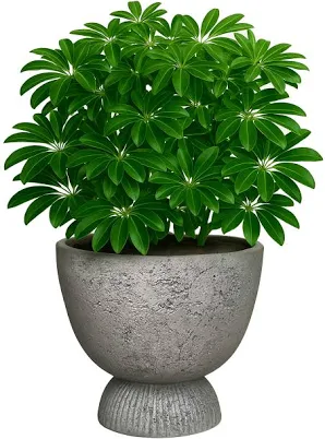 Origin 21 Round 14-in W x 14-in L x 1...