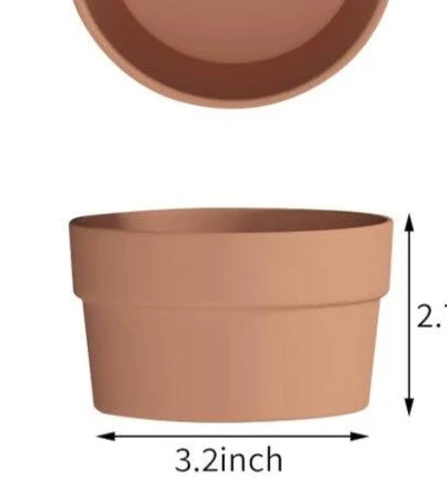 Terracotta Shallow Succulent Pot