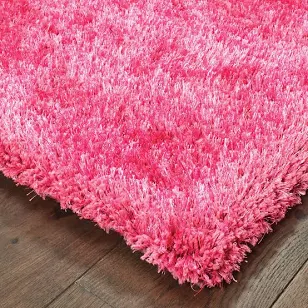 Shag Contemporary Glam Area Rug