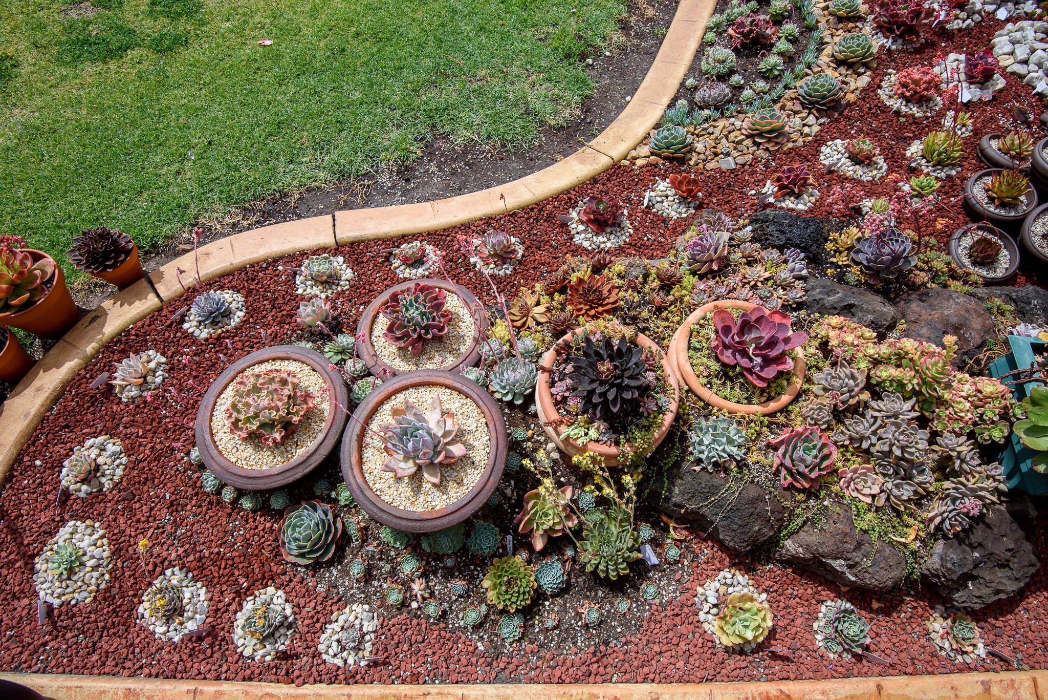 Top view of rock garden with cascading sunken pots : r/succulents