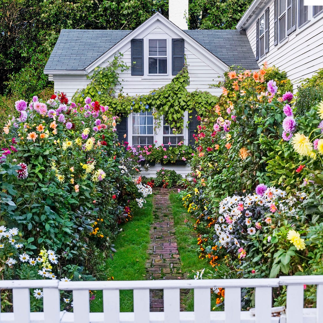 15 Pretty Cottage Garden Ideas to Try This Spring