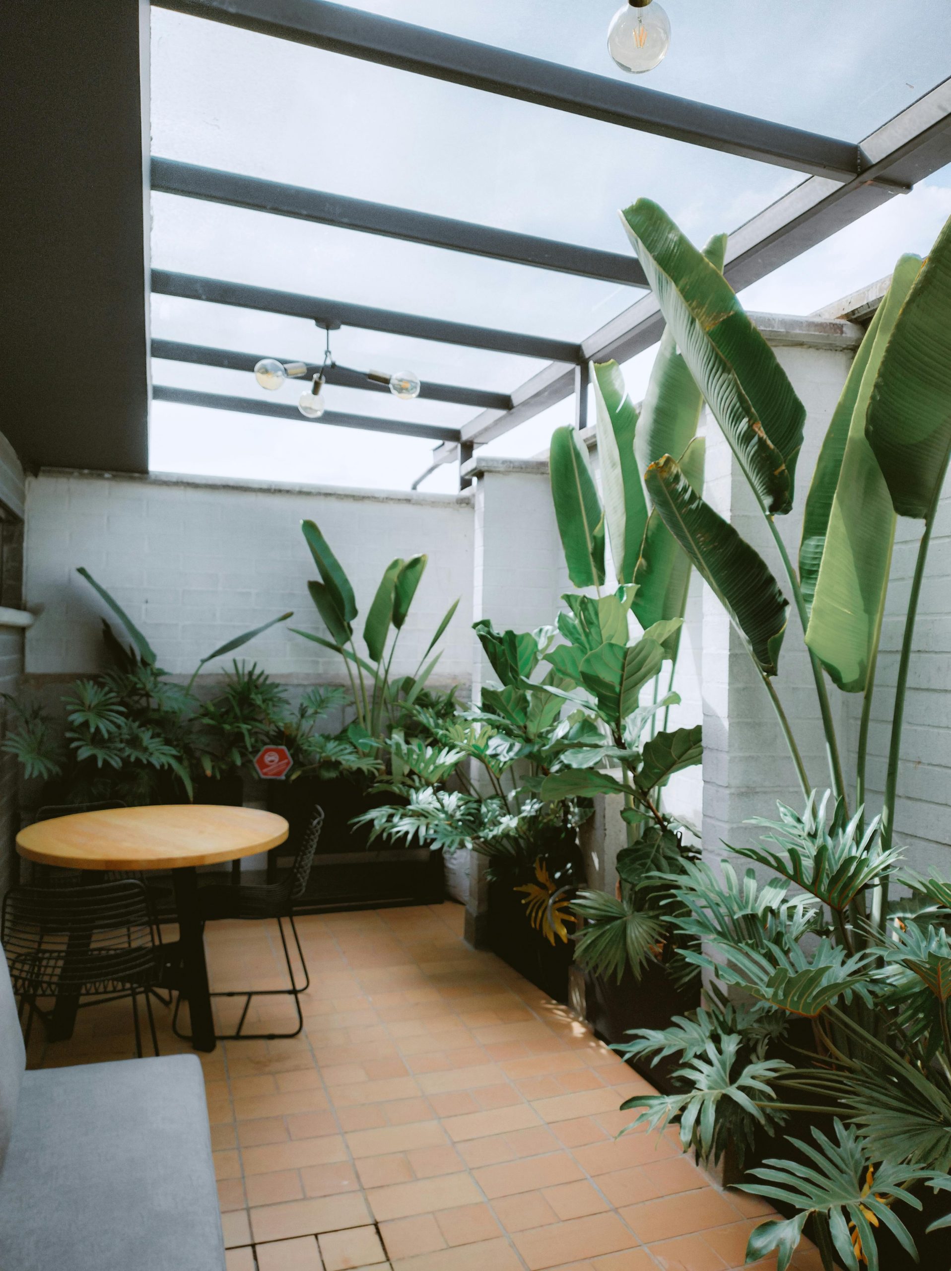A cozy patio in Rionegro filled with vibrant tropical plants and modern furnishing.
