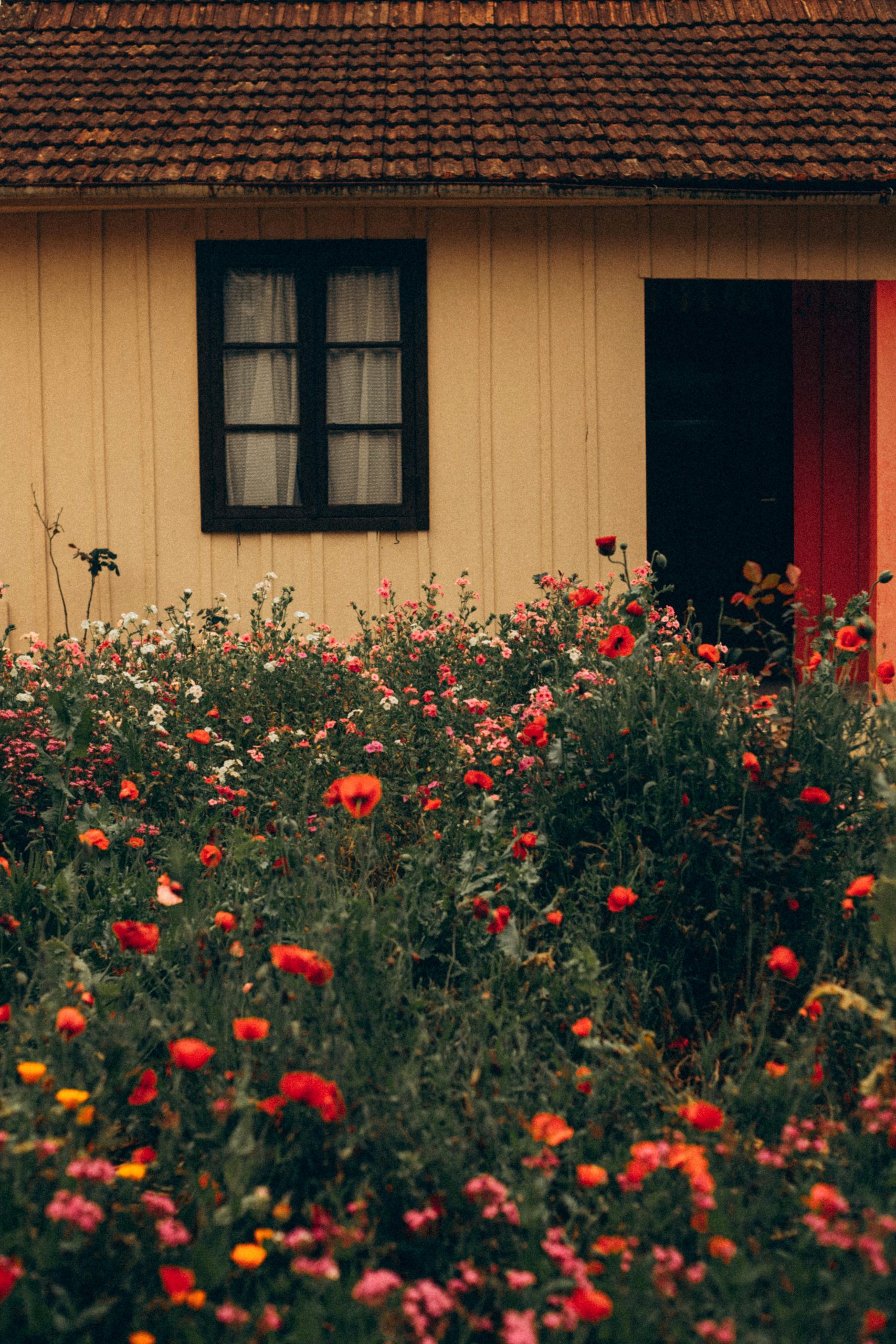 A serene cottage surrounded by a colorful garden full of vibrant wildflowers in bloom.