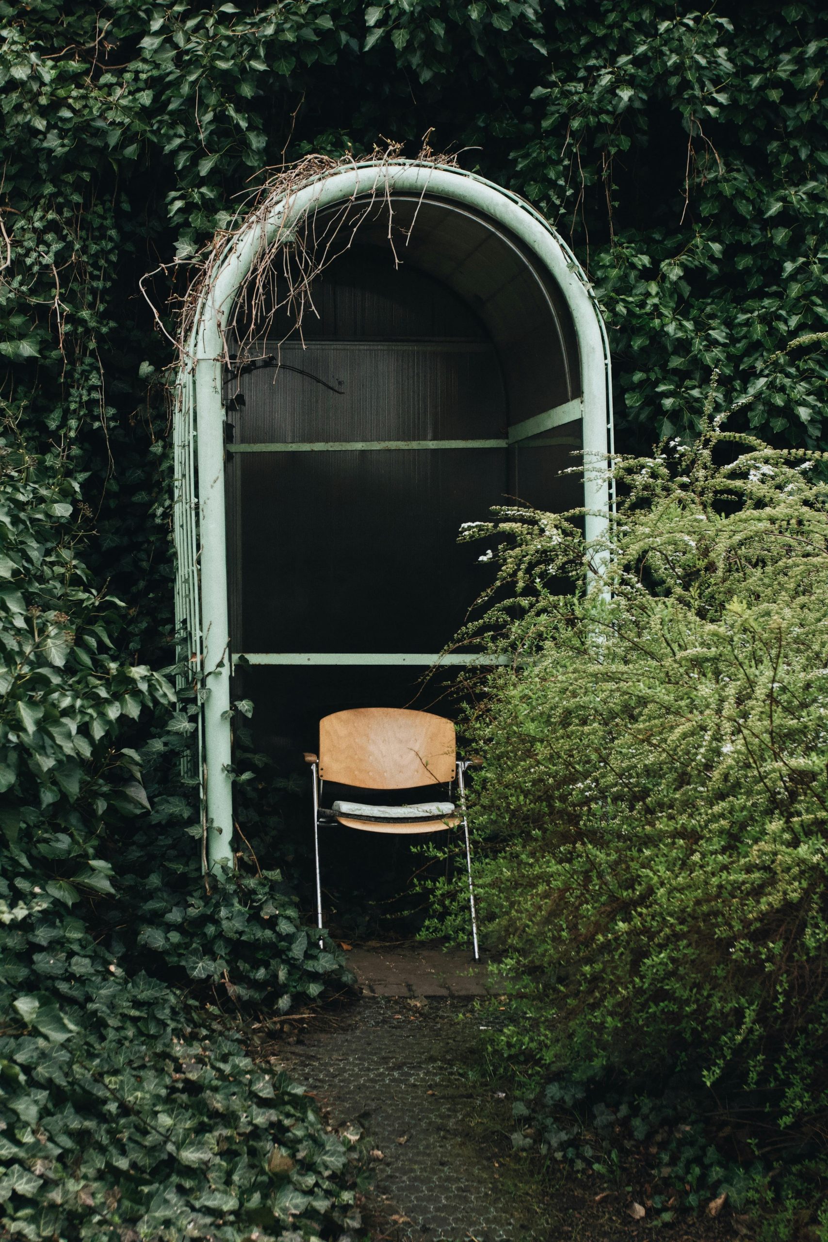 A solitary chair sits in an overgrown garden archway in Warsaw, Poland, creating a serene natural aesthetic.