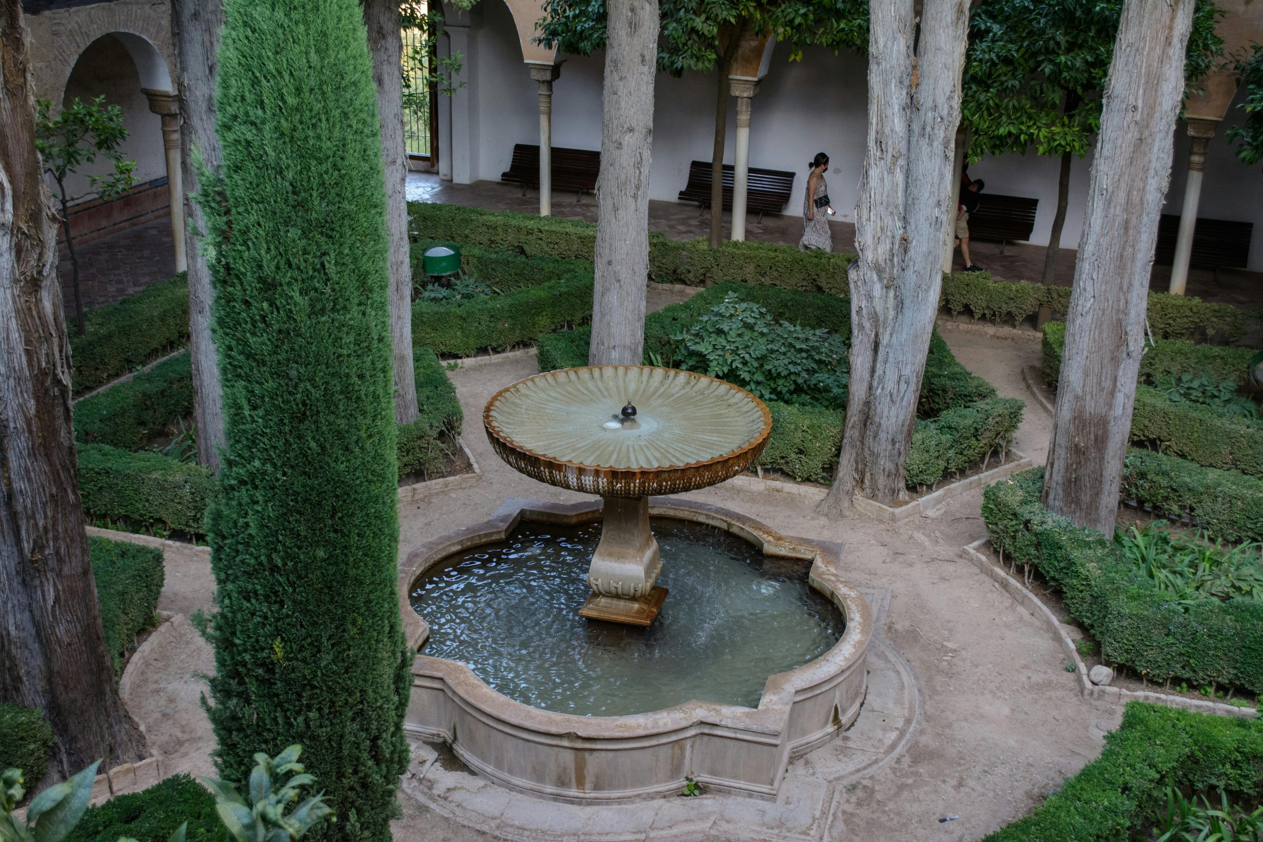 A tranquil courtyard featuring a classical stone fountain surrounded by lush greenery and tall trunks.