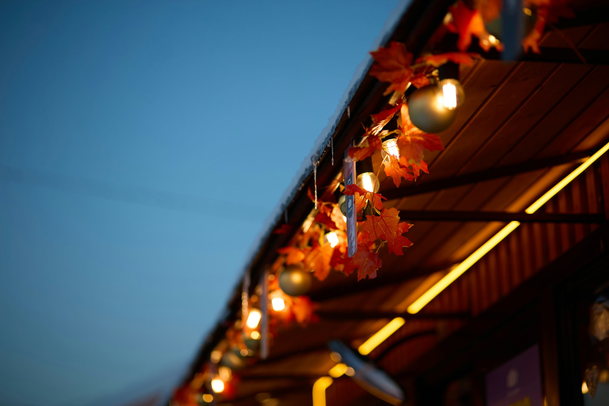 Autumn leaf garland with lights on building