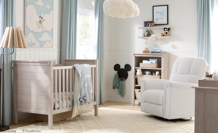 Baby Boy Nursery Ideas & Themes | Pottery Barn Kids
