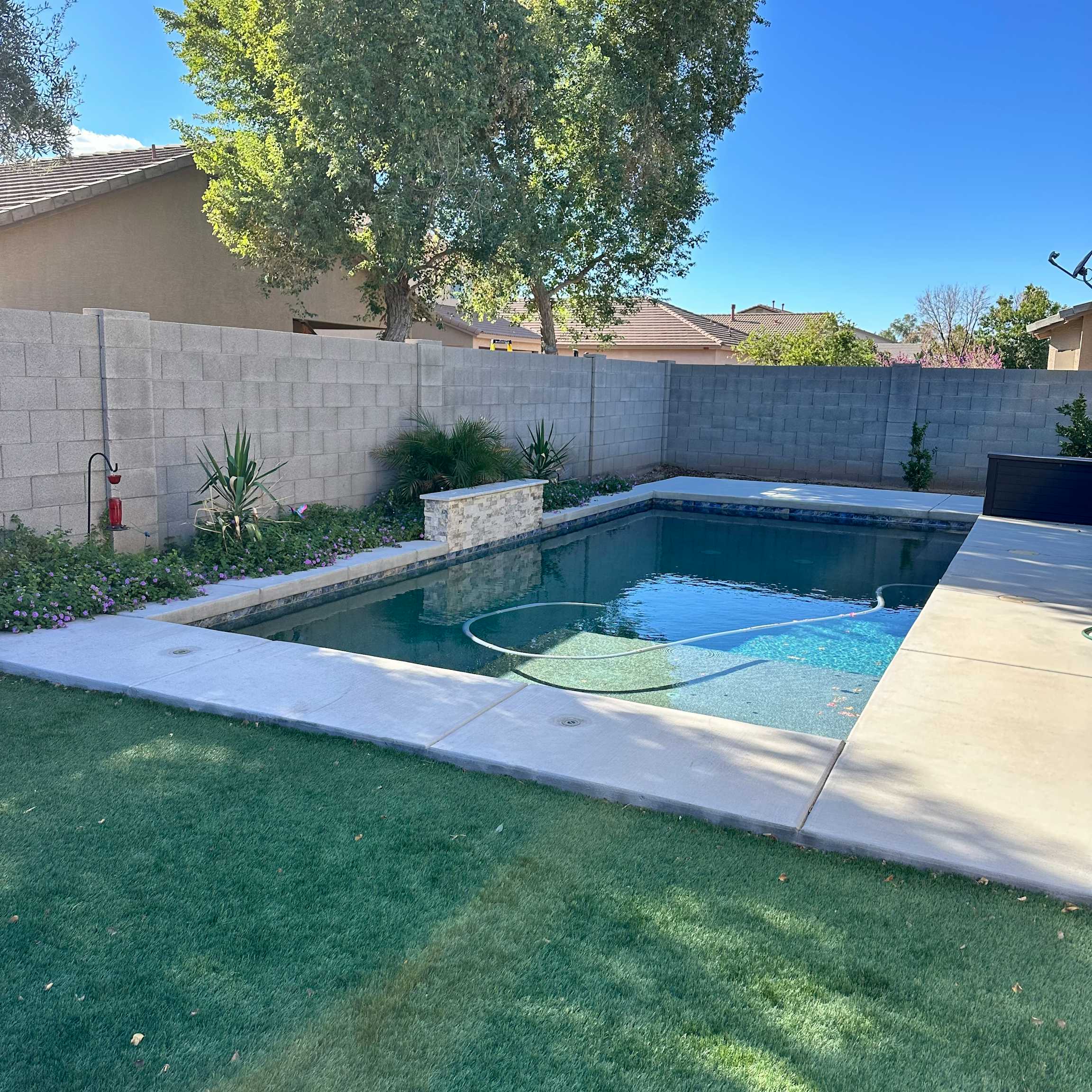 Back yard paradise - Private Pool in Surprise - Swimply